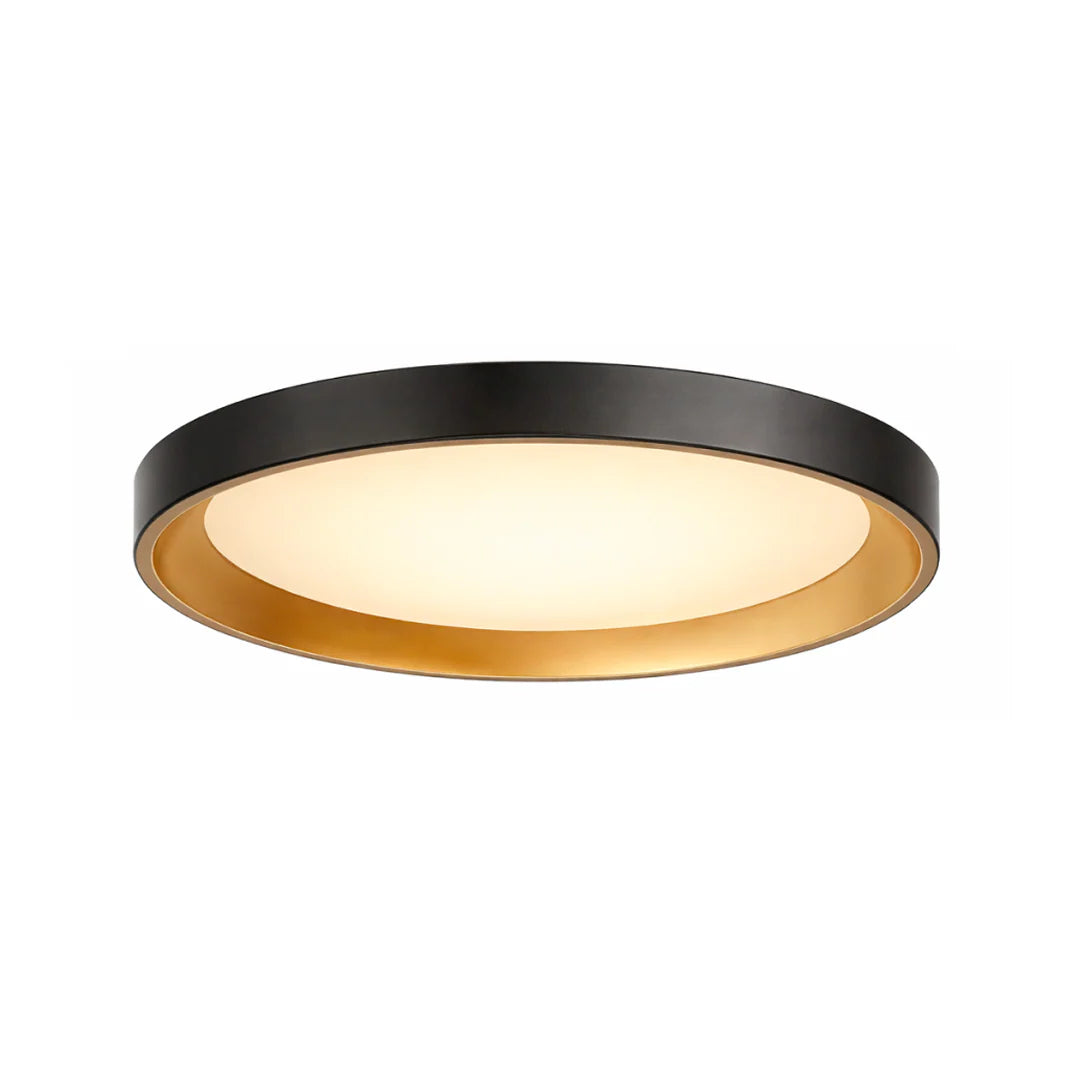 12" UltraLux® 48-51V DC Dual Tone Ceiling Light – Matte Black / Brushed Gold