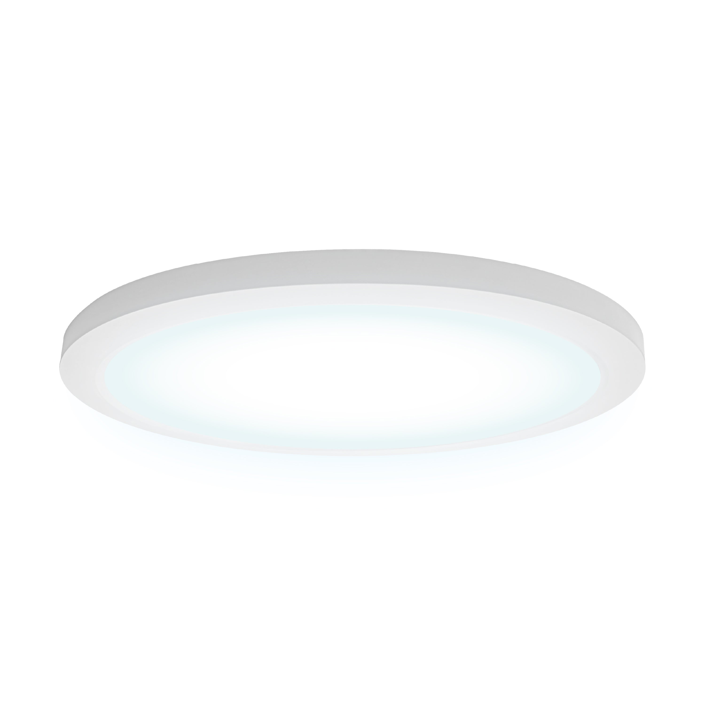 12" CLEANLIFE® 48-51V DC Edgelit LED Round Panel, 4000K