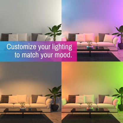 CLEANLIFE® 120VAC 5/6" Smart LED Downlights 2-Pack with Smart Remote Control Bundle