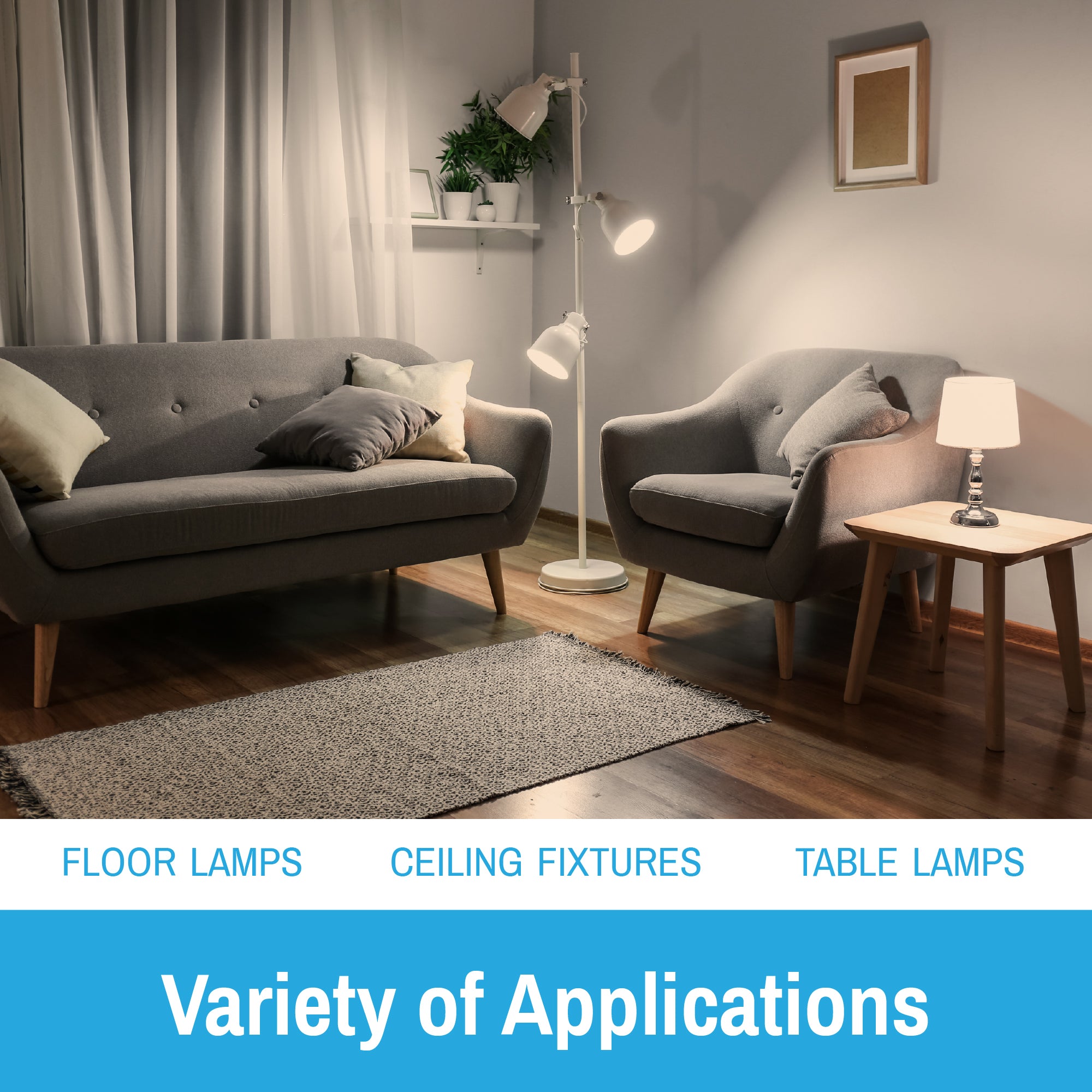a19 bulb used in living room lamp