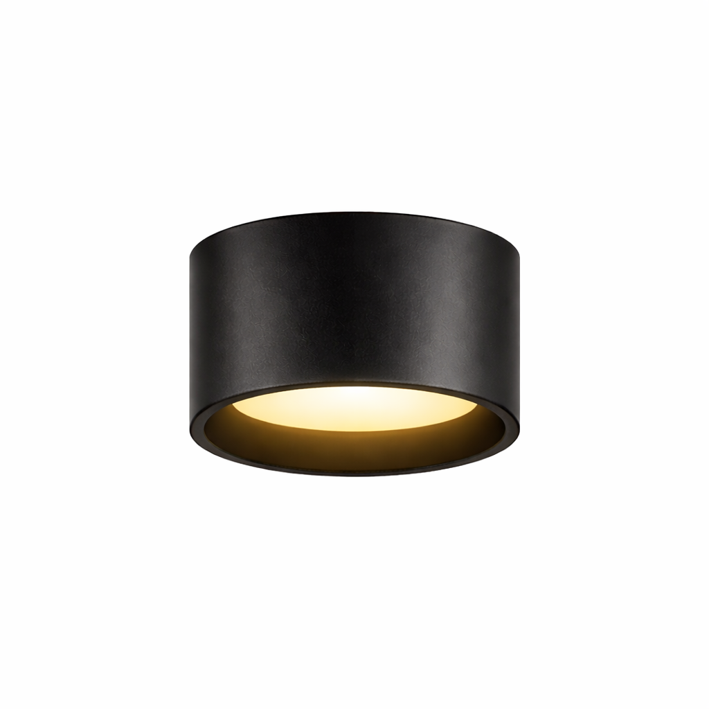 5" UltraLux® 48-51V DC LED Cylinder Light