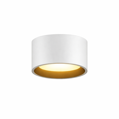 5" UltraLux® 48-51V DC LED Cylinder Light
