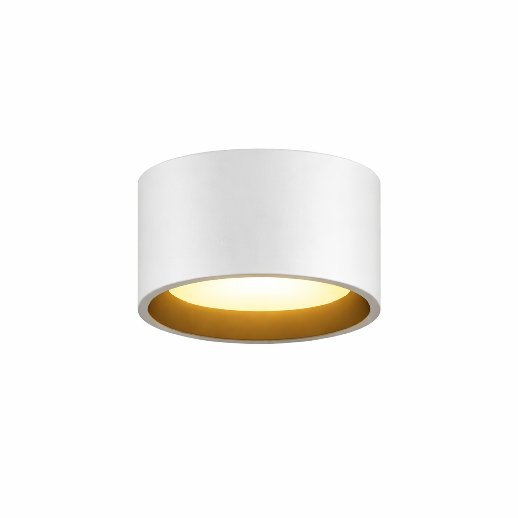 5" UltraLux® 48-51V DC LED Cylinder Light